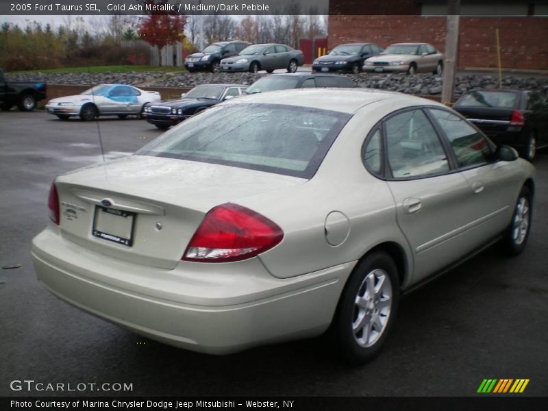Gold Ash Metallic / Medium/Dark Pebble 2005 Ford Taurus SEL