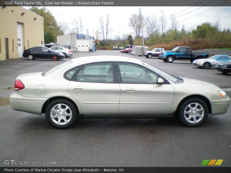 Gold Ash Metallic / Medium/Dark Pebble 2005 Ford Taurus SEL