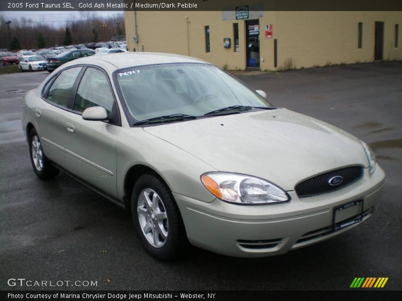 Gold Ash Metallic / Medium/Dark Pebble 2005 Ford Taurus SEL