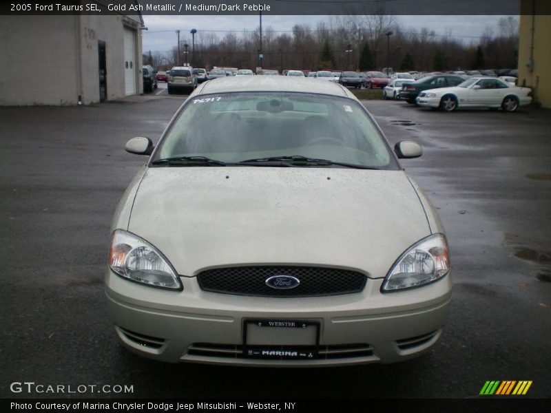 Gold Ash Metallic / Medium/Dark Pebble 2005 Ford Taurus SEL