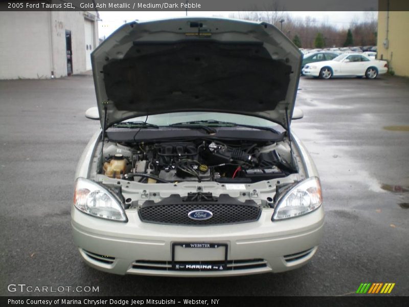 Gold Ash Metallic / Medium/Dark Pebble 2005 Ford Taurus SEL