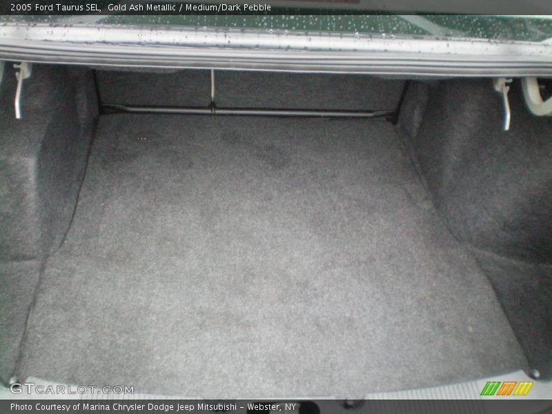 Gold Ash Metallic / Medium/Dark Pebble 2005 Ford Taurus SEL