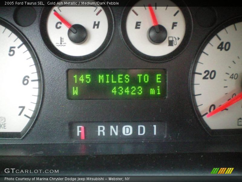 Gold Ash Metallic / Medium/Dark Pebble 2005 Ford Taurus SEL