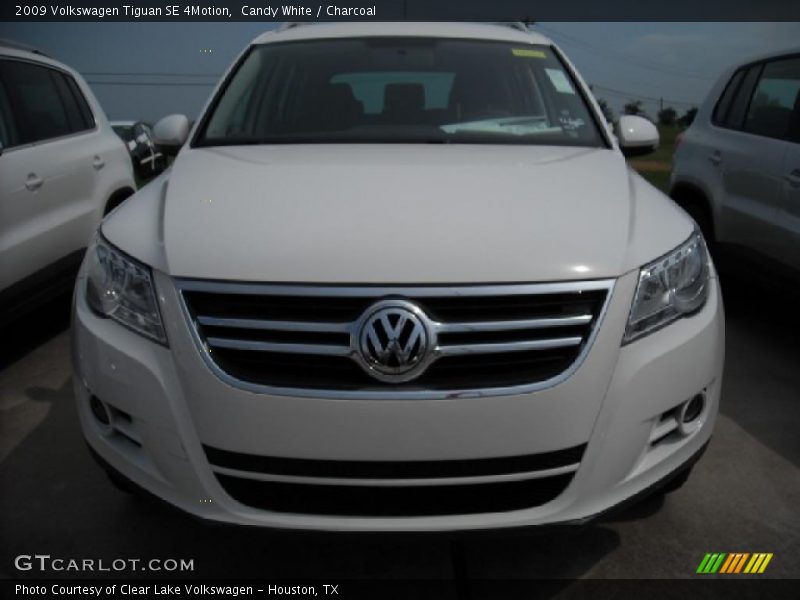 Candy White / Charcoal 2009 Volkswagen Tiguan SE 4Motion