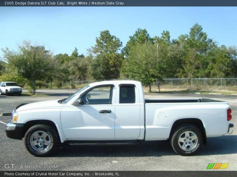 Bright White / Medium Slate Gray 2005 Dodge Dakota SLT Club Cab