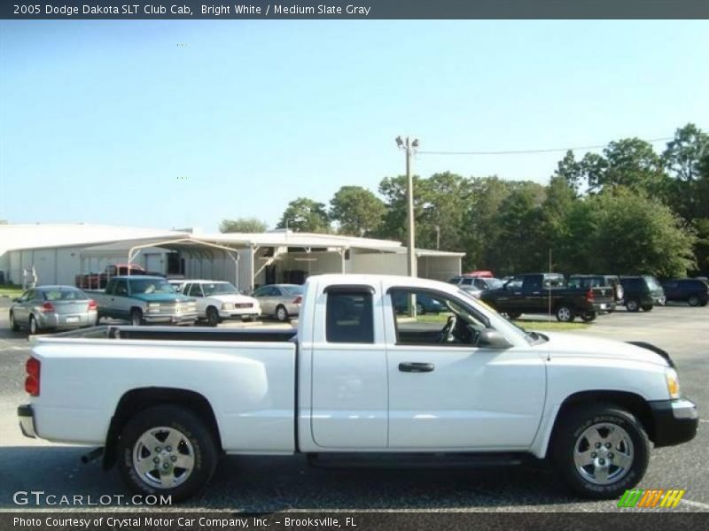 Bright White / Medium Slate Gray 2005 Dodge Dakota SLT Club Cab