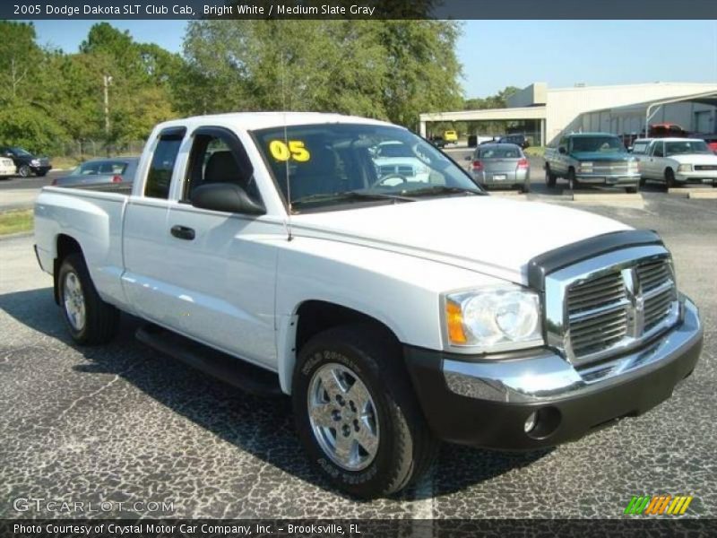 Bright White / Medium Slate Gray 2005 Dodge Dakota SLT Club Cab