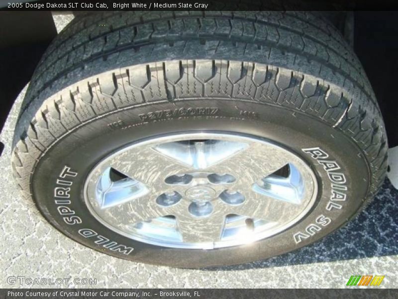 Bright White / Medium Slate Gray 2005 Dodge Dakota SLT Club Cab