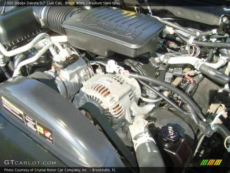 Bright White / Medium Slate Gray 2005 Dodge Dakota SLT Club Cab