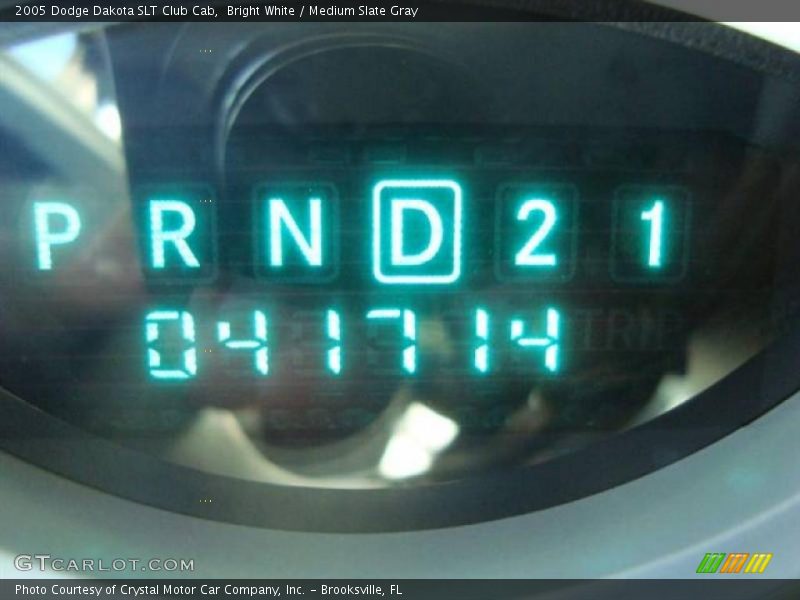 Bright White / Medium Slate Gray 2005 Dodge Dakota SLT Club Cab