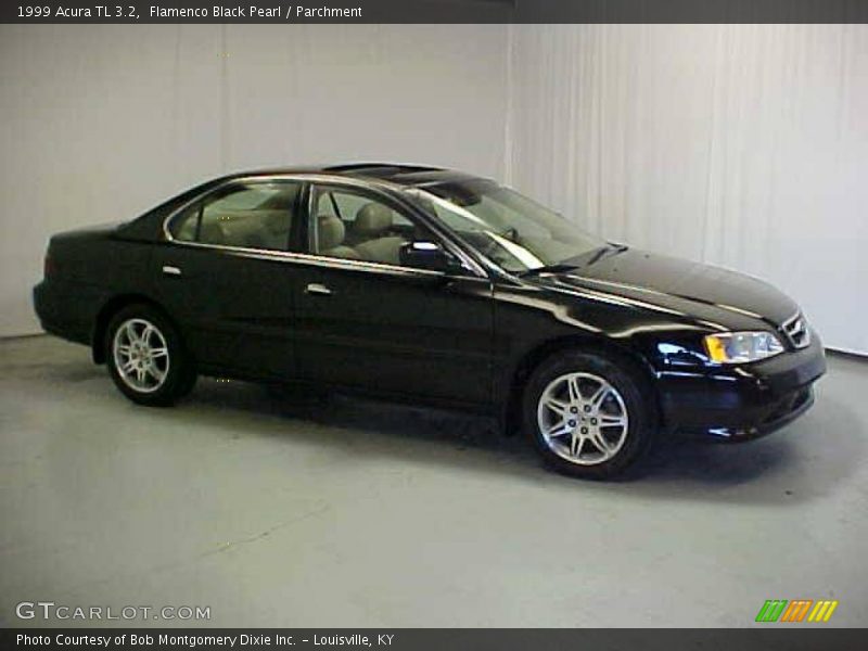 Flamenco Black Pearl / Parchment 1999 Acura TL 3.2