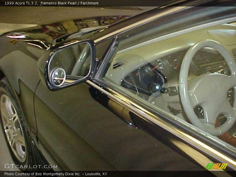 Flamenco Black Pearl / Parchment 1999 Acura TL 3.2