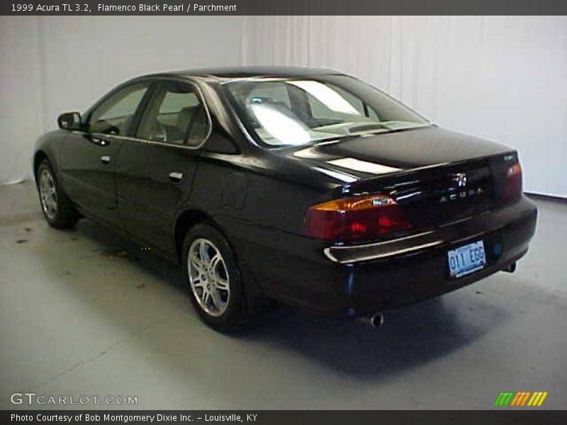 Flamenco Black Pearl / Parchment 1999 Acura TL 3.2