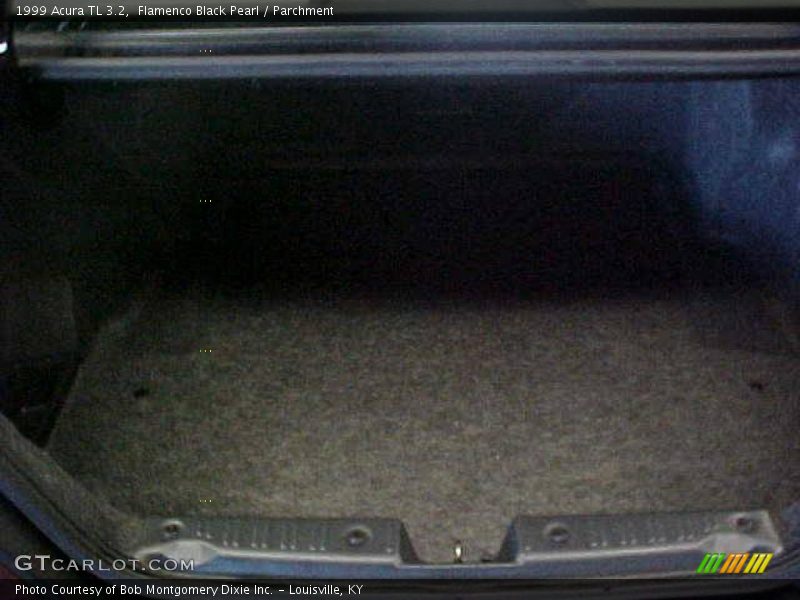 Flamenco Black Pearl / Parchment 1999 Acura TL 3.2
