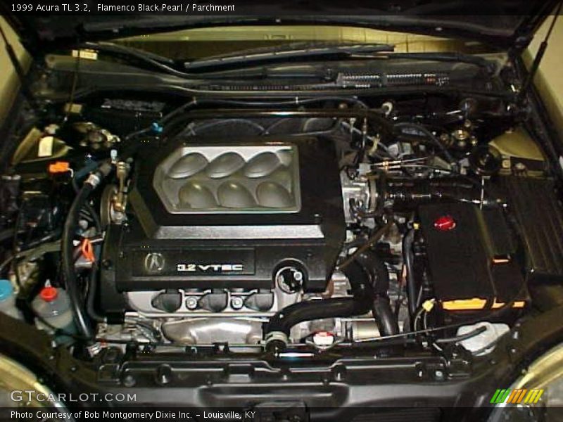 Flamenco Black Pearl / Parchment 1999 Acura TL 3.2