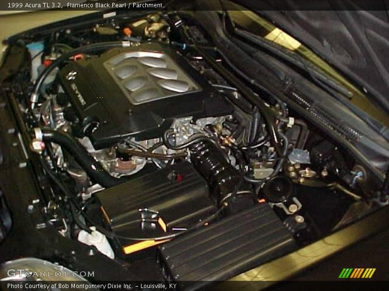 Flamenco Black Pearl / Parchment 1999 Acura TL 3.2