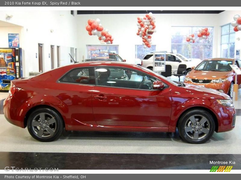 Spicy Red / Black 2010 Kia Forte Koup EX
