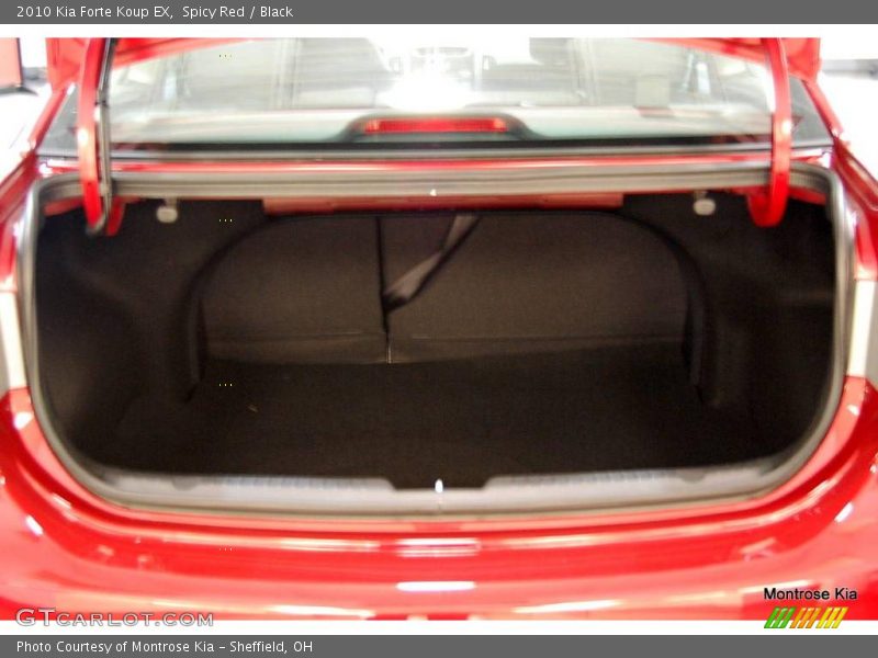 Spicy Red / Black 2010 Kia Forte Koup EX