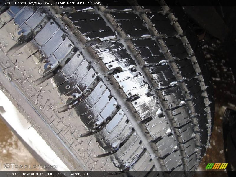 Desert Rock Metallic / Ivory 2005 Honda Odyssey EX-L