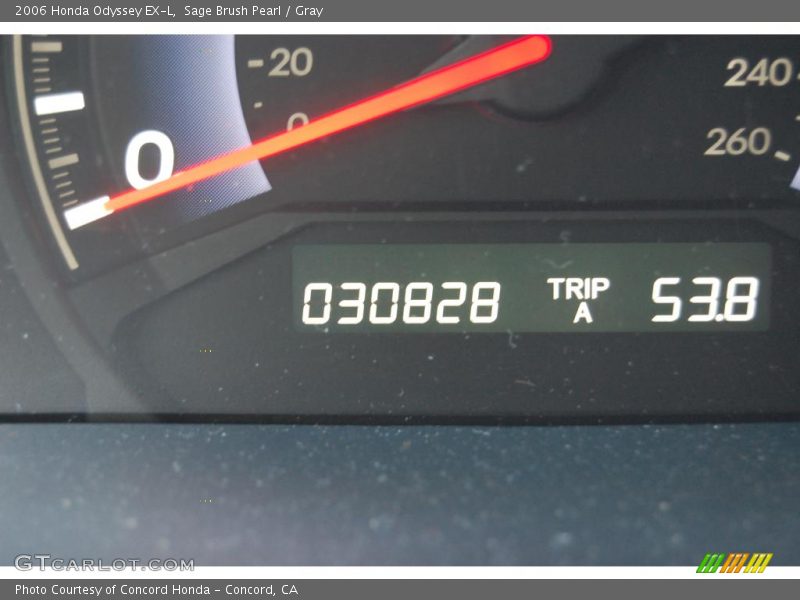 Sage Brush Pearl / Gray 2006 Honda Odyssey EX-L