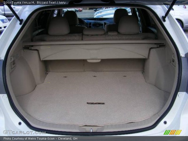 Blizzard Pearl / Ivory 2009 Toyota Venza I4