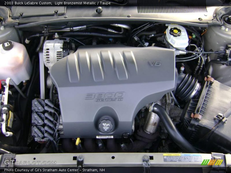 Light Bronzemist Metallic / Taupe 2003 Buick LeSabre Custom