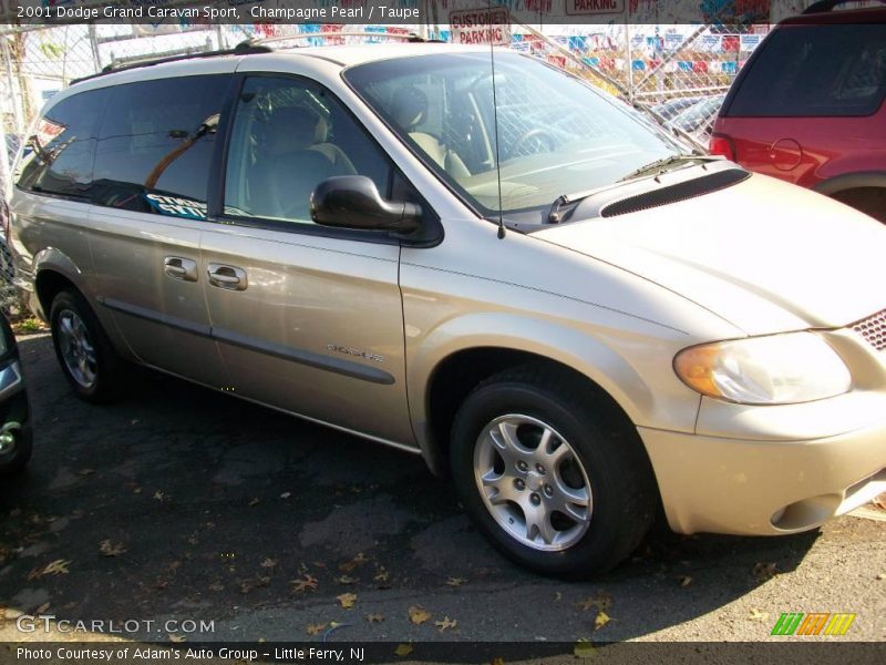 Champagne Pearl / Taupe 2001 Dodge Grand Caravan Sport