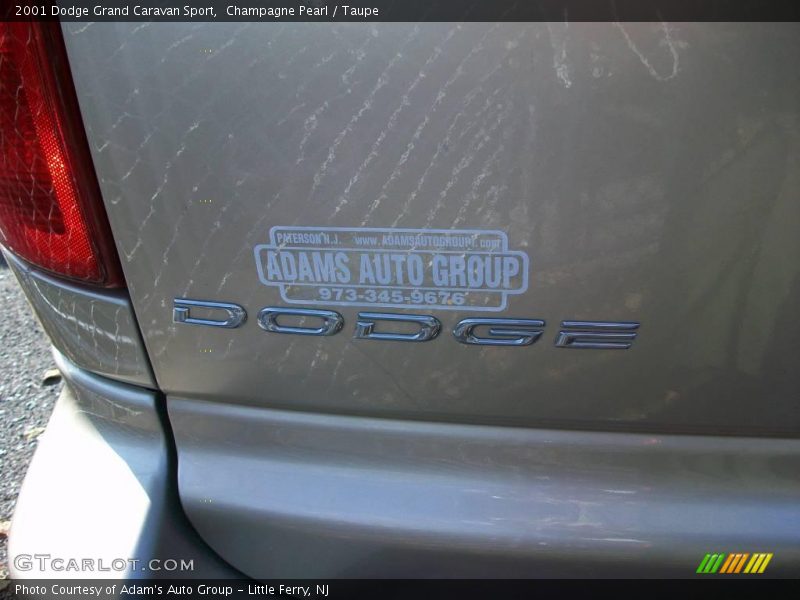 Champagne Pearl / Taupe 2001 Dodge Grand Caravan Sport