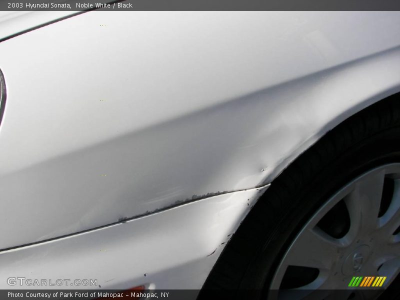 Noble White / Black 2003 Hyundai Sonata