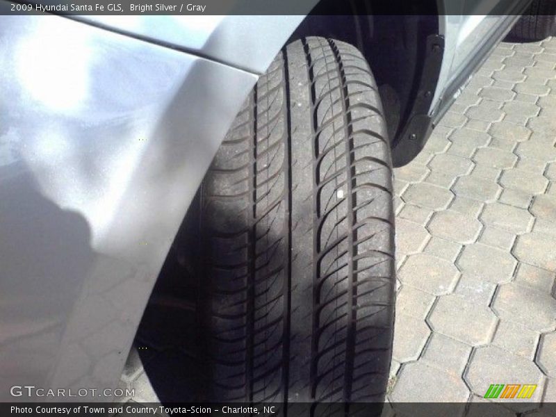 Bright Silver / Gray 2009 Hyundai Santa Fe GLS