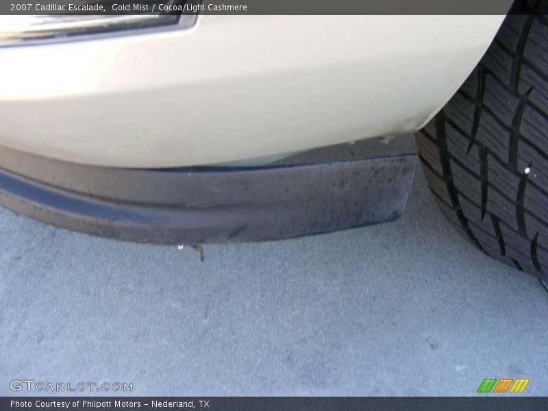 Gold Mist / Cocoa/Light Cashmere 2007 Cadillac Escalade