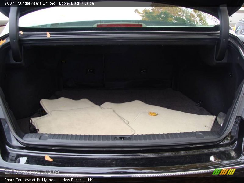 Ebony Black / Beige 2007 Hyundai Azera Limited