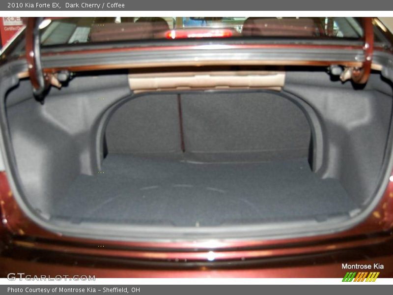 Dark Cherry / Coffee 2010 Kia Forte EX