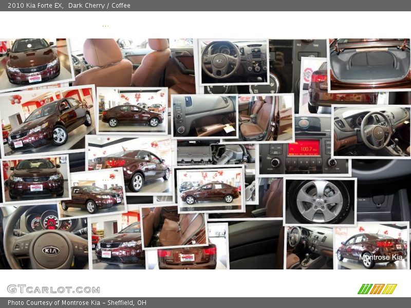 Dark Cherry / Coffee 2010 Kia Forte EX