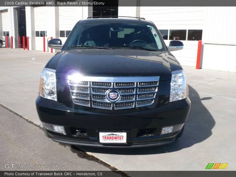 Black Raven / Ebony/Ebony 2009 Cadillac Escalade AWD
