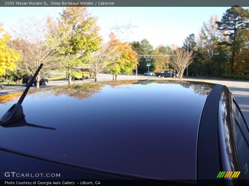 Deep Bordeaux Metallic / Cabernet 2003 Nissan Murano SL