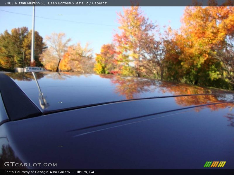 Deep Bordeaux Metallic / Cabernet 2003 Nissan Murano SL
