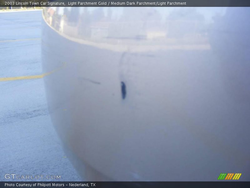 Light Parchment Gold / Medium Dark Parchment/Light Parchment 2003 Lincoln Town Car Signature