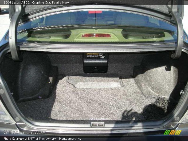 Graphite Gray Pearl / Ivory 2004 Lexus IS 300