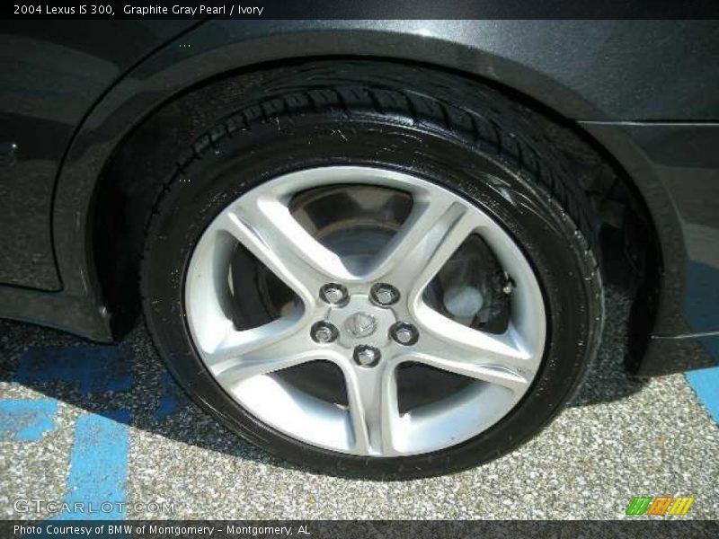 Graphite Gray Pearl / Ivory 2004 Lexus IS 300