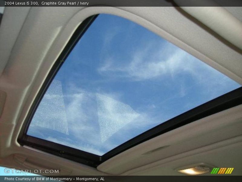 Graphite Gray Pearl / Ivory 2004 Lexus IS 300