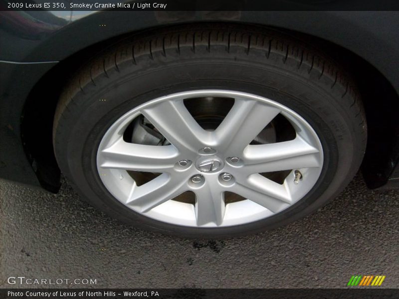 Smokey Granite Mica / Light Gray 2009 Lexus ES 350