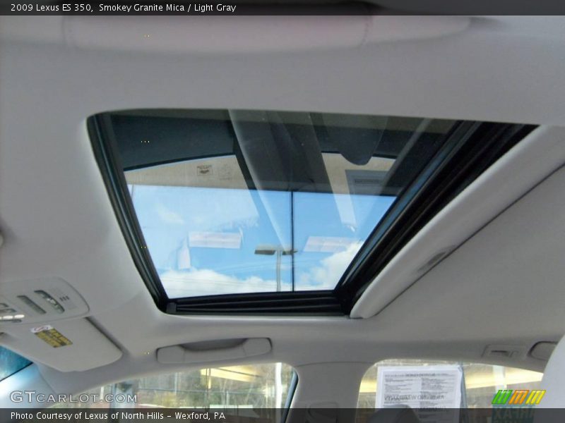 Smokey Granite Mica / Light Gray 2009 Lexus ES 350