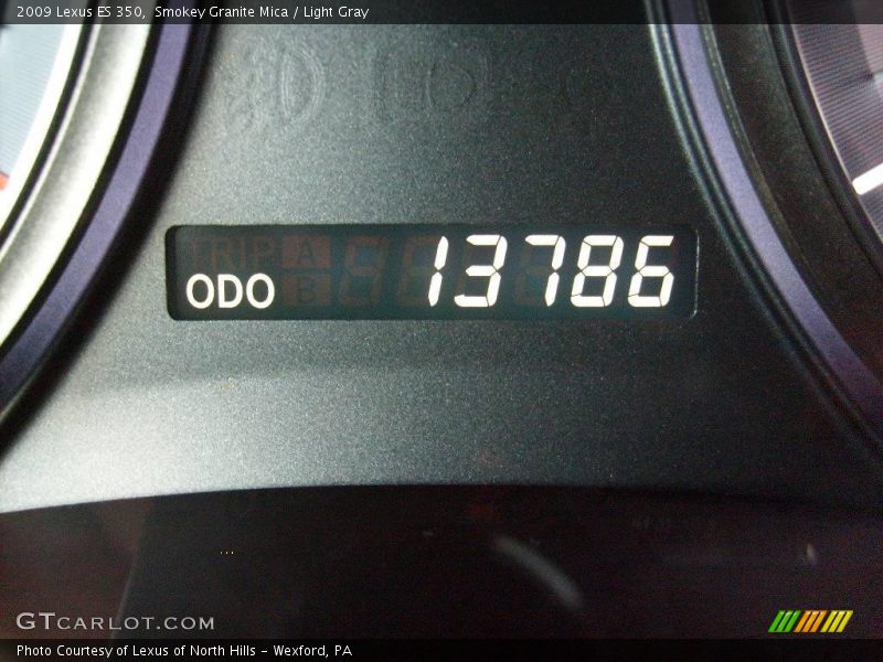 Smokey Granite Mica / Light Gray 2009 Lexus ES 350