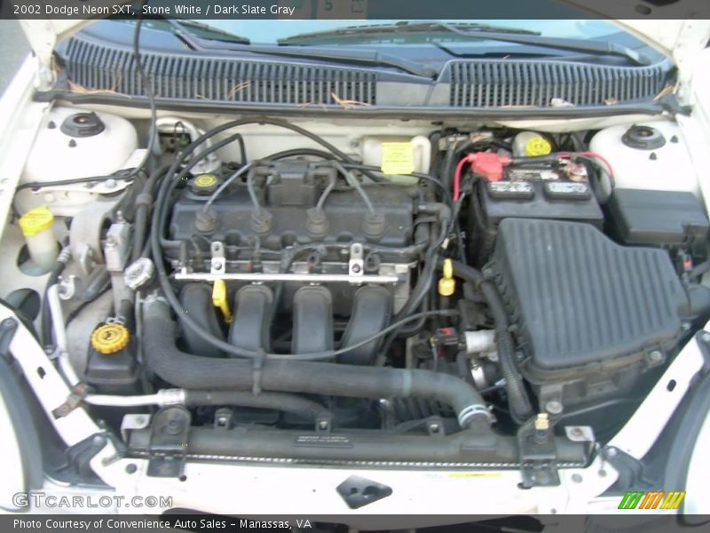 Stone White / Dark Slate Gray 2002 Dodge Neon SXT