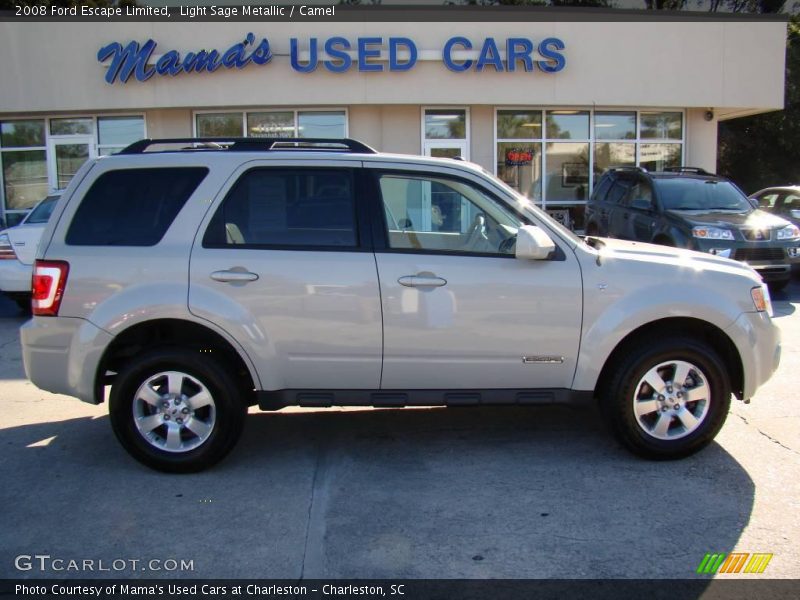 Light Sage Metallic / Camel 2008 Ford Escape Limited