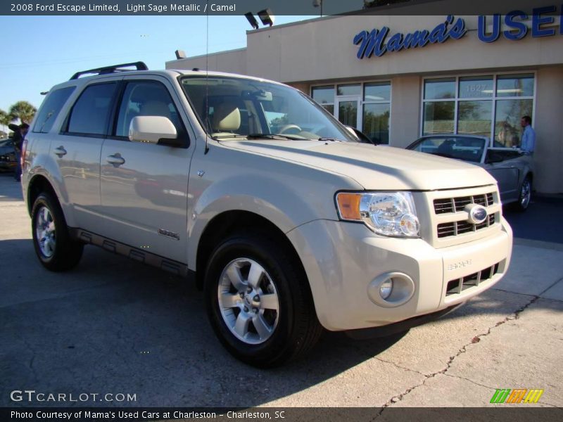 Light Sage Metallic / Camel 2008 Ford Escape Limited