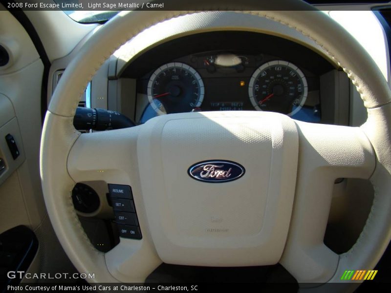 Light Sage Metallic / Camel 2008 Ford Escape Limited