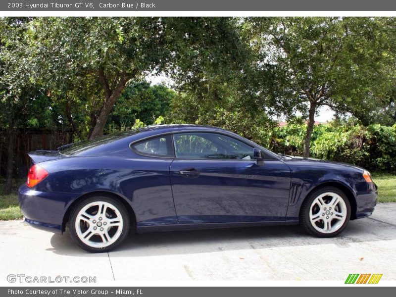 Carbon Blue / Black 2003 Hyundai Tiburon GT V6