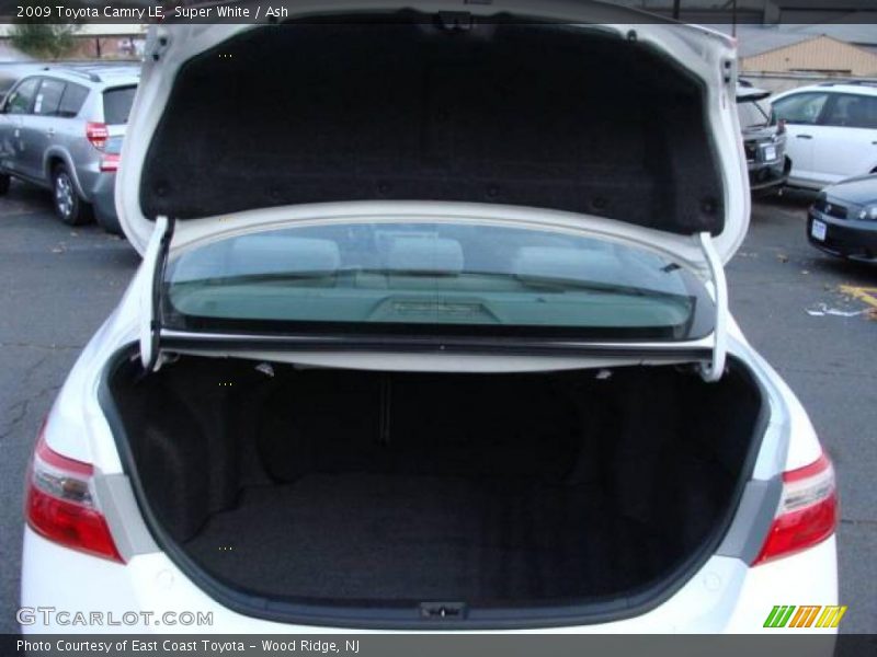 Super White / Ash 2009 Toyota Camry LE